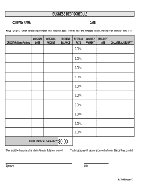 Business Debt Schedule Form