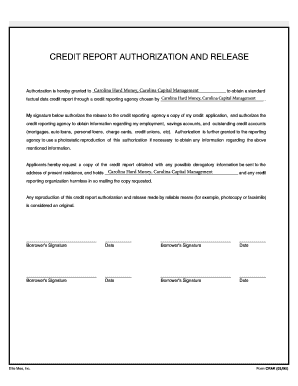 credit report authorization form