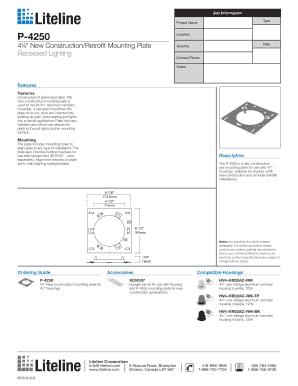 4¼" New Construction Mounting Plate