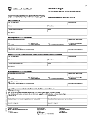 Income Declaration Form