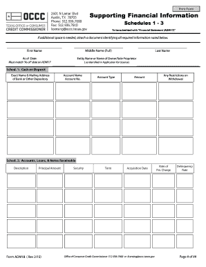 Texas Financial Statement Supporting Schedules