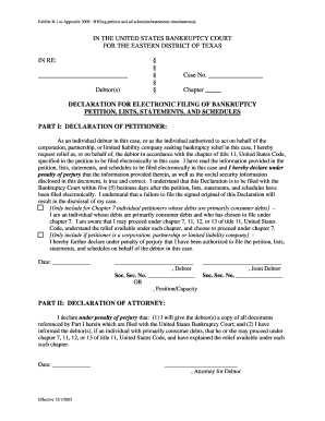 Declaration for Electronic Filing of Bankruptcy Petition