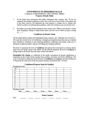 Confidence Progress Scale for Families