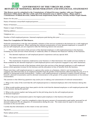 Virgin Islands Notional Remuneration Return