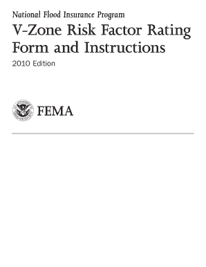 V-Zone Risk Factor Rating Form