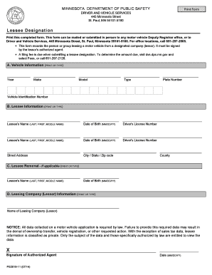 Form preview picture