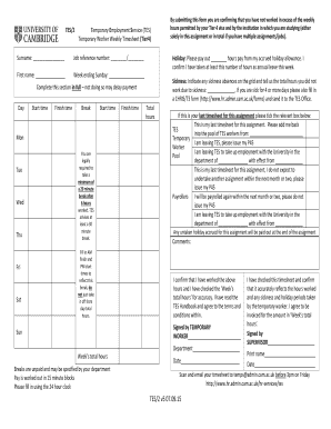 Temporary Worker Weekly Timesheet (Tier4) - hr admin cam ac