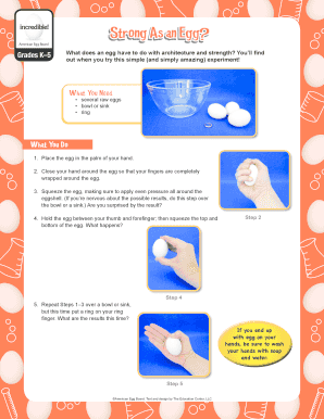 Egg Strength Experiment Worksheet