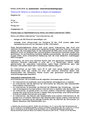 E R K L Ä R U N G zu bestehenden Unternehmensbeteiligungen