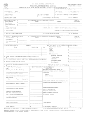 SBA Financial Statement of Debtor