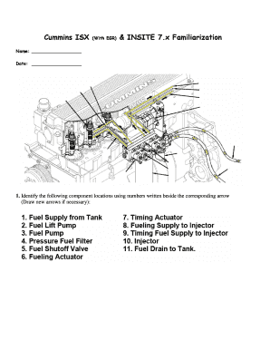 insite 6