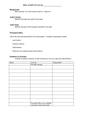 2014 Audit Plan Template