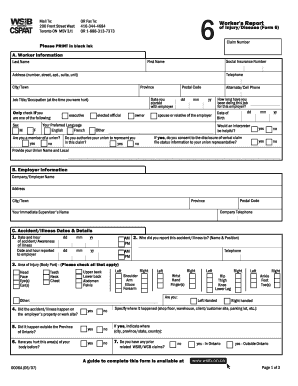 Worker's Report of Injury/Disease Form 6