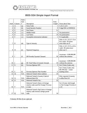 Form 8955-SSA Simple Import Format