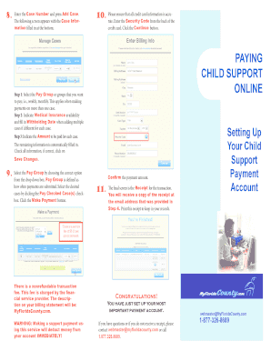 Child Support Payment Form