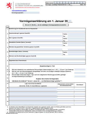 Vermögenserklärung ansässige Körperschaft