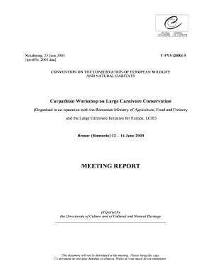 MEETING REPORT - Nina - www1 nina