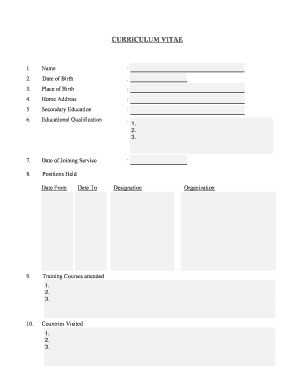 Curriculum Vitae Template
