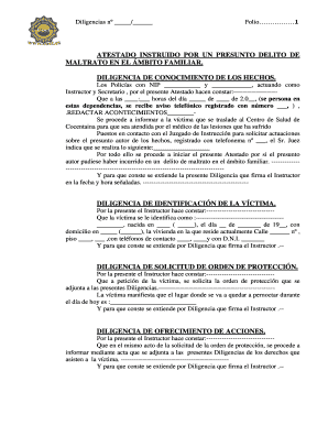 Diligencias por Presunto Delito de Maltrato en el Ámbito Familiar