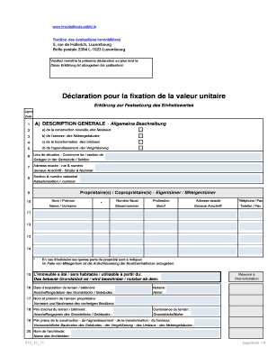 Déclaration pour la fixation de la valeur unitaire