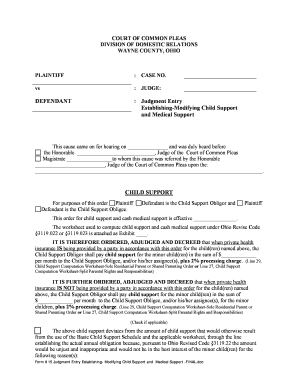 Ohio Child Support and Medical Support Order
