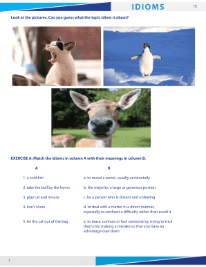 Idioms Worksheet