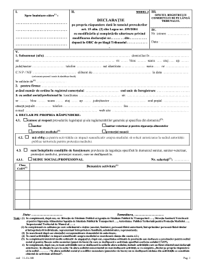 Romanian Business Declaration Form