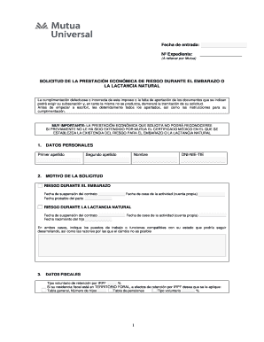 Solicitud de la prestación económica de riesgo durante el embarazo o la lactancia natural
