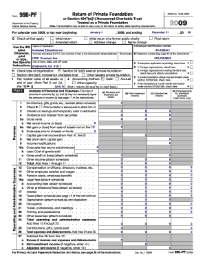 Form 990-PF 2009
