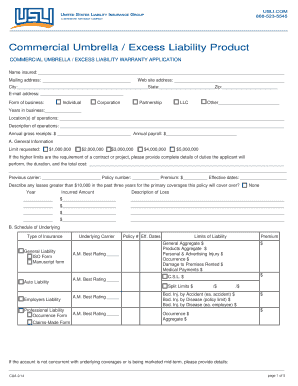 Commercial Umbrella Excess Liability Application