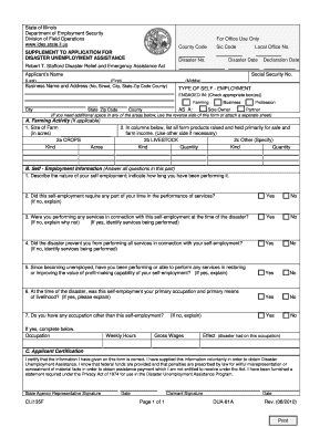 Disaster Unemployment Assistance Application