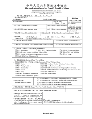 China Visa Application Form