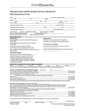 Massachusetts Obstetrical Risk Assessment Form