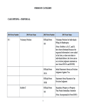 US Bankruptcy Petition Forms
