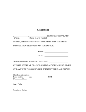 Affidavit of Single Status