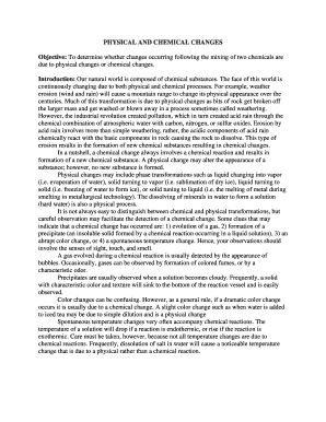 Chemistry Lab Report on Physical and Chemical Changes