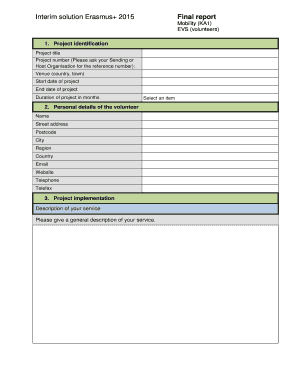 Erasmus+ 2015 Final Report EVS Volunteers