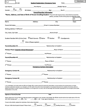 Form preview