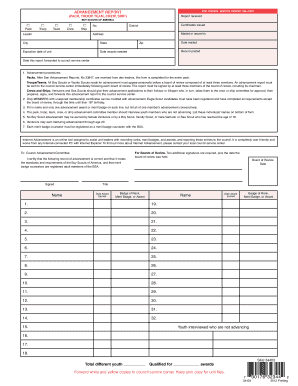 Advancement Report for Boy Scouts of America