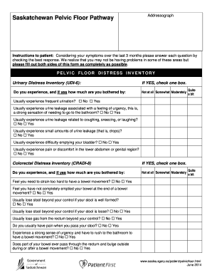 Saskatchewan Pelvic Floor Pathway Form
