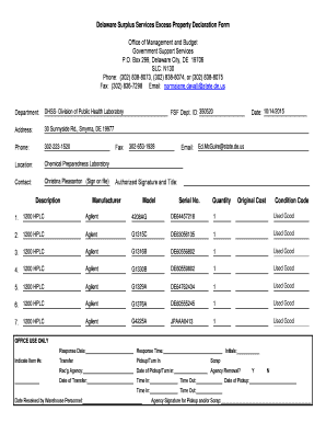 Delaware Surplus Services Excess Property Declaration Form