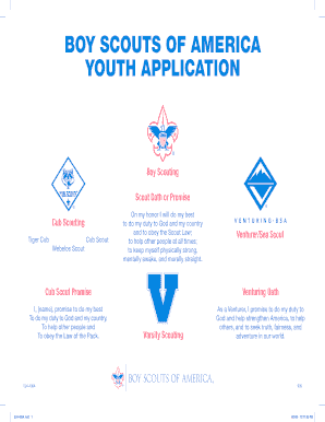 Boy Scouts of America Youth Application