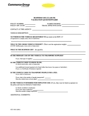 Business Use Validation Questionnaire