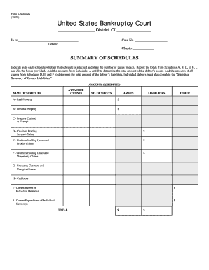US Bankruptcy Court Form 6-Summary