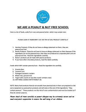 School Allergy Form