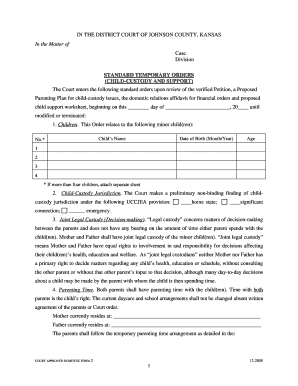 Standard Temporary Orders Child Custody and Support