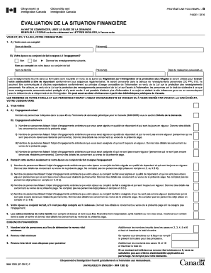 Formulaire d'évaluation de la situation financière pour l'immigration au Canada