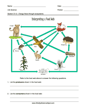 food web assignment answers