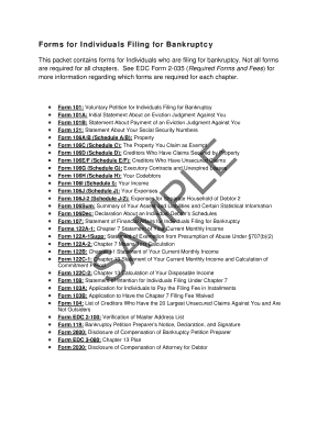 US Bankruptcy Voluntary Petition
