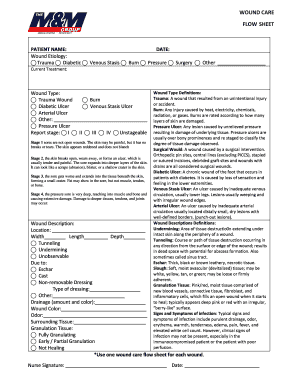 Wound Care Flow Sheet